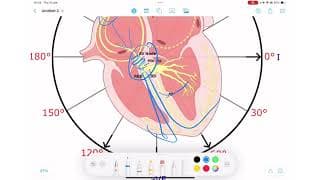 ECG Rhythm Series | Sinus Arrhythmia