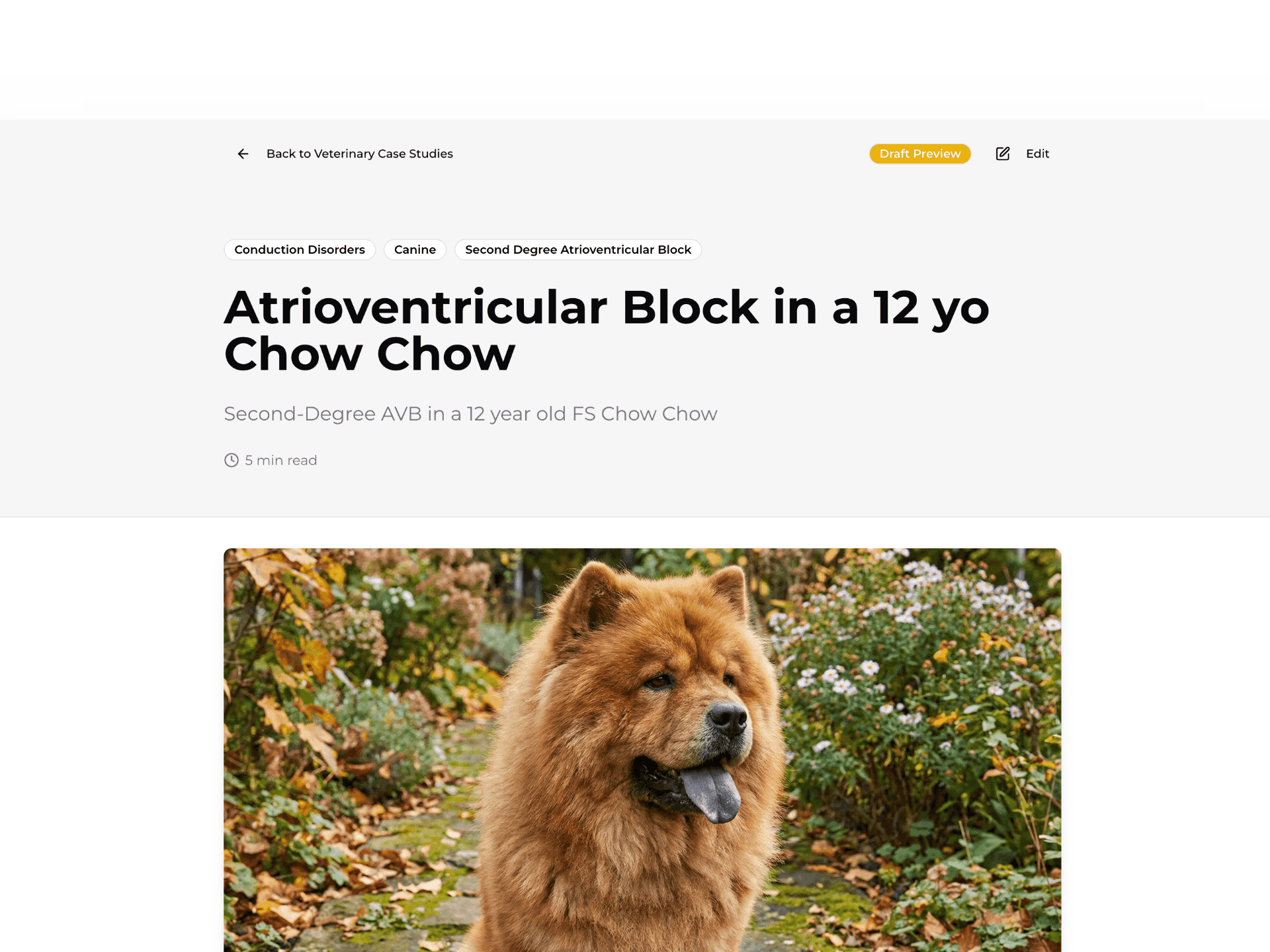 Case Studies (Releasing Soon) visualization